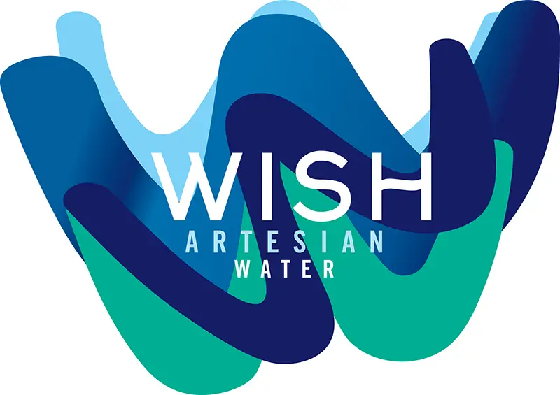Read more about the article WISH